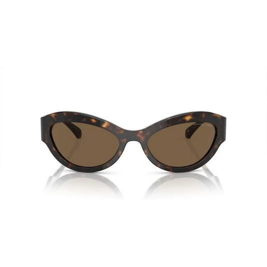 Michael Kors Brown Acetate Sunglasses