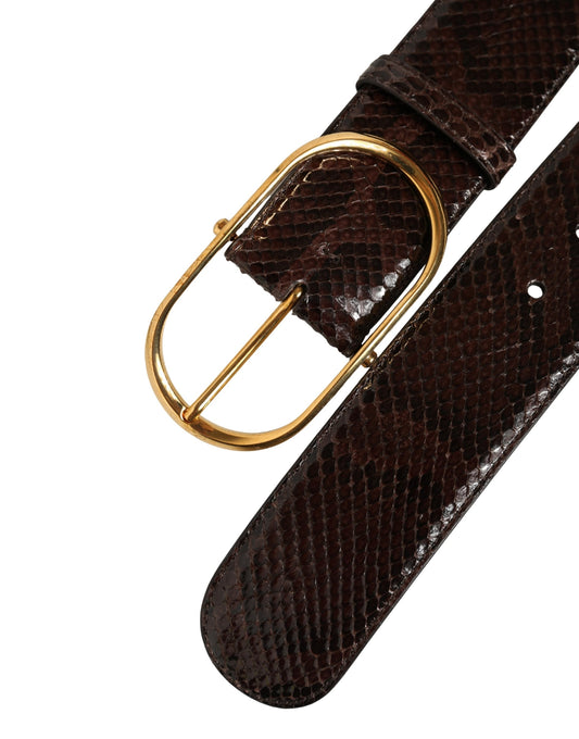 Dolce & Gabbana Brauner Pythonleder-Gürtel mit goldener Metallschnalle