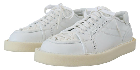 Dolce & Gabbana Weiße Leder Low Top Oxford Sneakers Freizeitschuhe