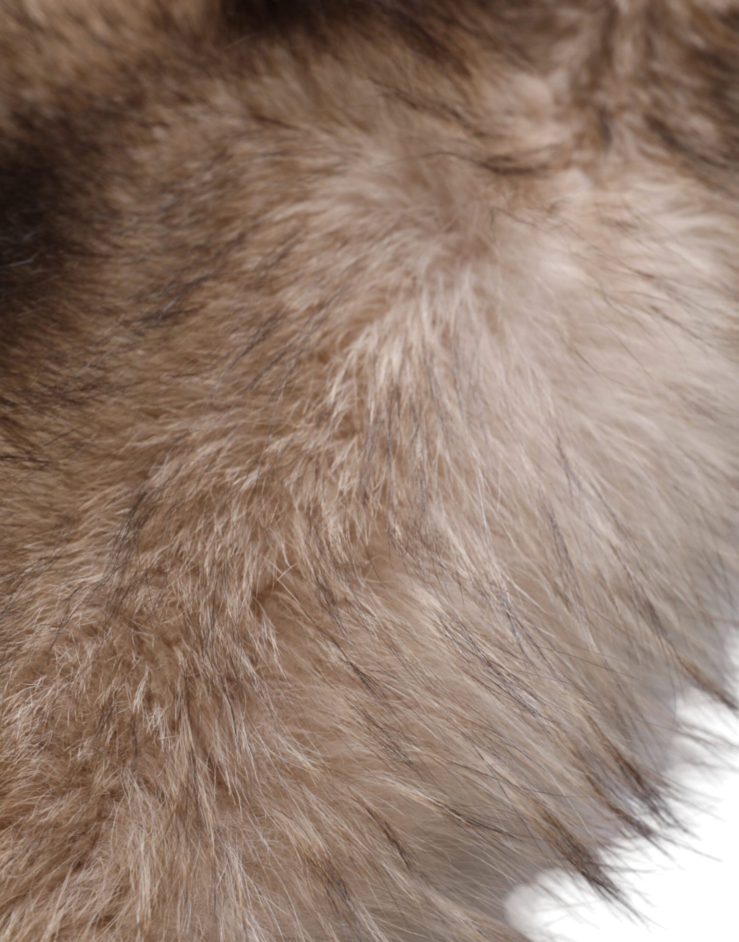 Dolce & Gabbana Brauner Frost Fuchspelz-Halswärmer-Winterschal