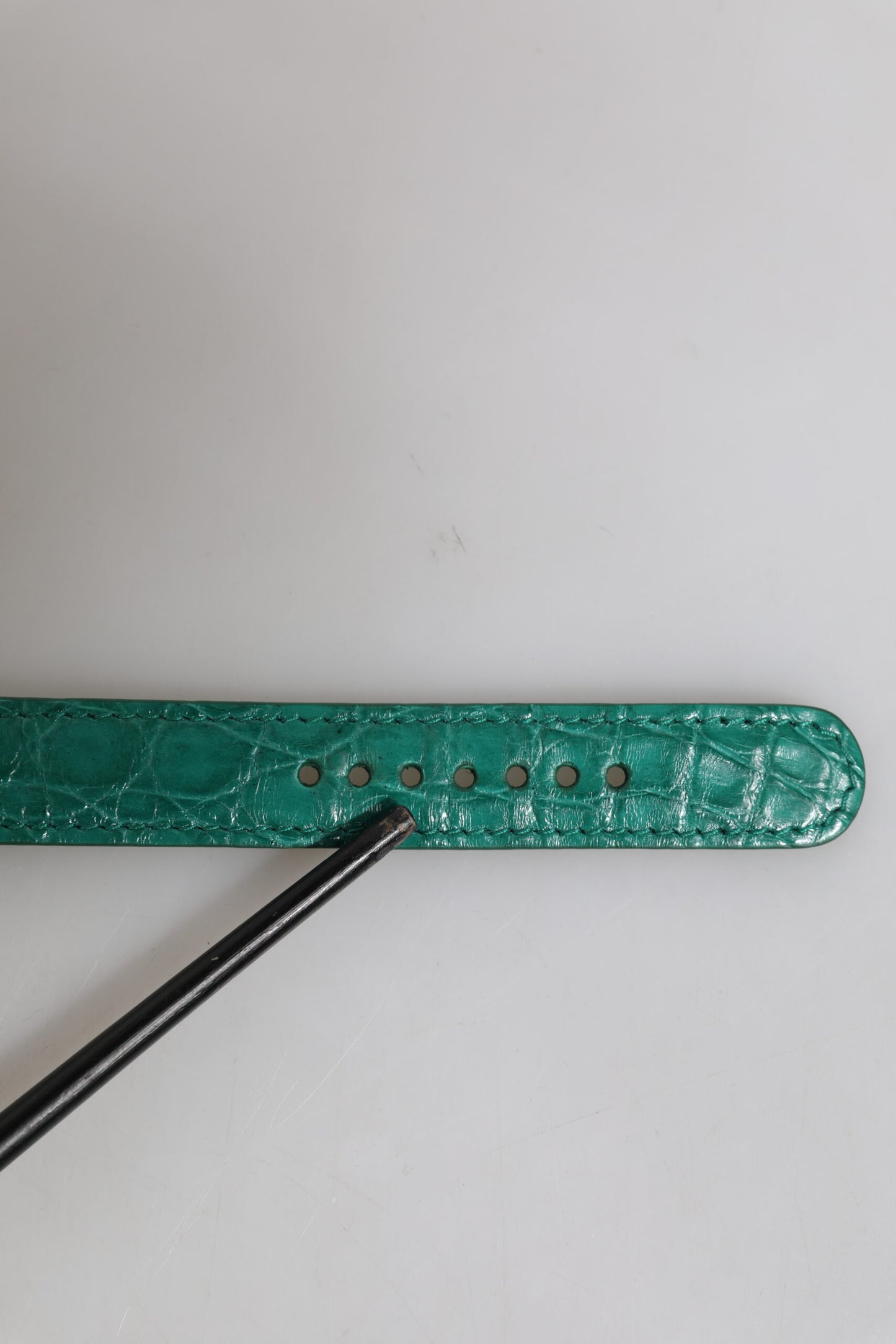 Dolce & Gabbana Armband aus exotischem Leder in Grün mit goldfarbener Metallschnalle