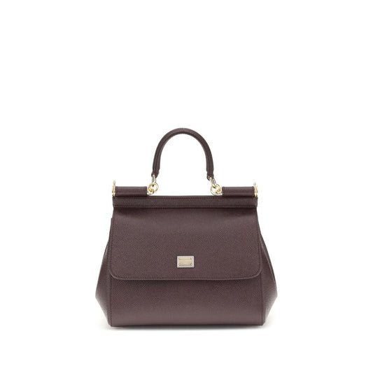 Dolce & Gabbana Brown Calf Leather Bos Taurus Handbag