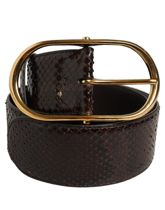 Dolce & Gabbana Brauner Pythonleder-Gürtel mit goldener Metallschnalle