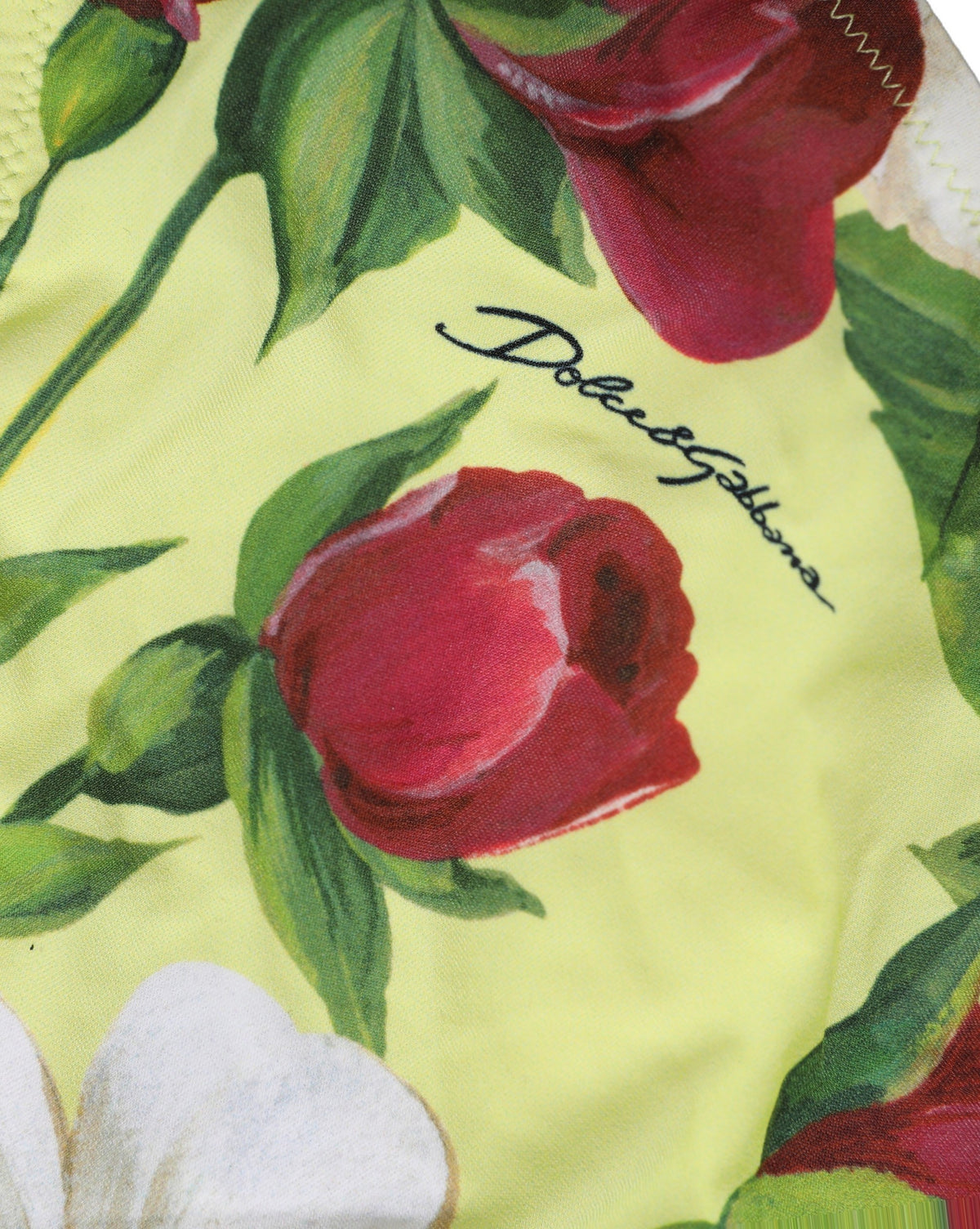 Dolce & Gabbana Bikinislip aus Nylon mit gelbem Blumenmuster