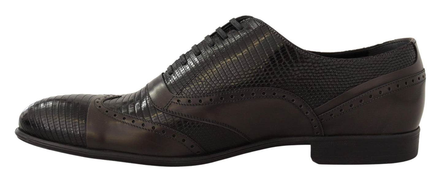 Dolce &amp; Gabbana – Oxford-Schuhe aus braunem Eidechsenleder