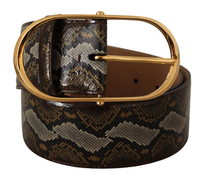 Dolce &amp; Gabbana Brauner Pythonledergürtel mit ovaler Schnalle und Gold