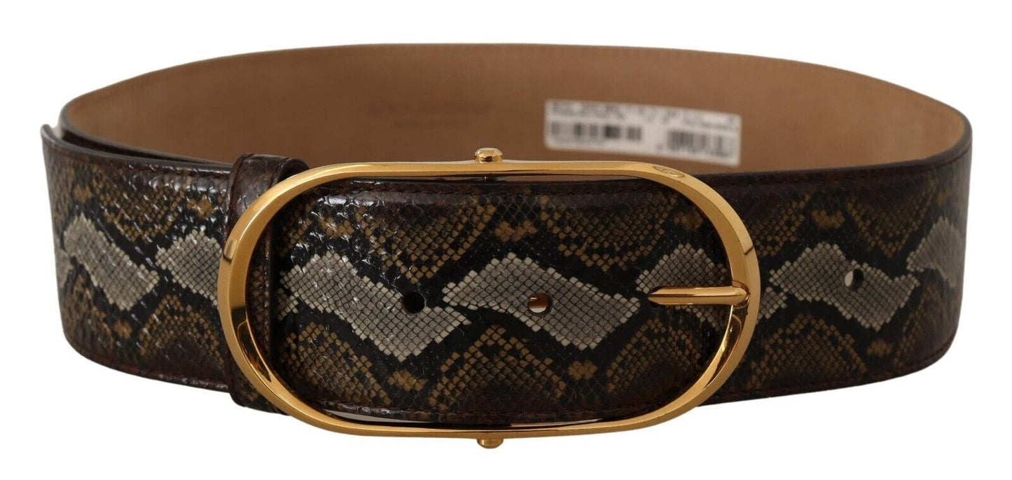 Dolce &amp; Gabbana Brauner Pythonledergürtel mit ovaler Schnalle und Gold