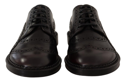 Dolce &amp; Gabbana – Lilafarbene Oxford-Schuhe aus Leder mit Flügelkappe