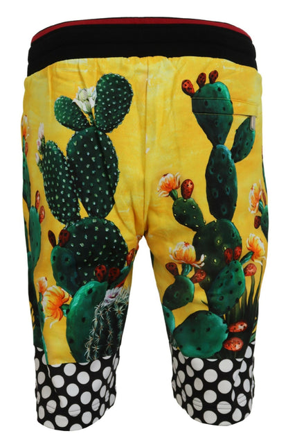 Dolce &amp; Gabbana – Mehrfarbige Sweatshorts aus Baumwolle mit Kaktus-Print