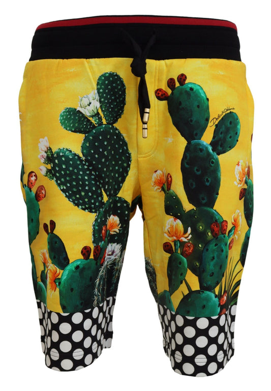 Dolce &amp; Gabbana – Mehrfarbige Sweatshorts aus Baumwolle mit Kaktus-Print