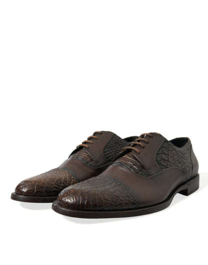 Dolce &amp; Gabbana – Oxford-Schnürschuhe aus exotischem Leder in Braun