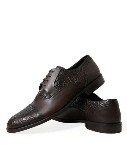Dolce &amp; Gabbana – Oxford-Schnürschuhe aus exotischem Leder in Braun