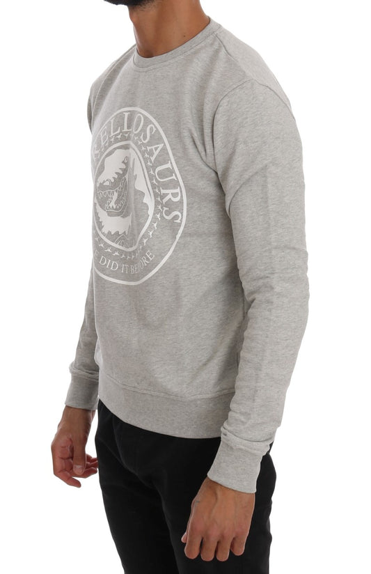 Frankie Morello Grauer Pullover mit Rundhalsausschnitt aus Baumwolle