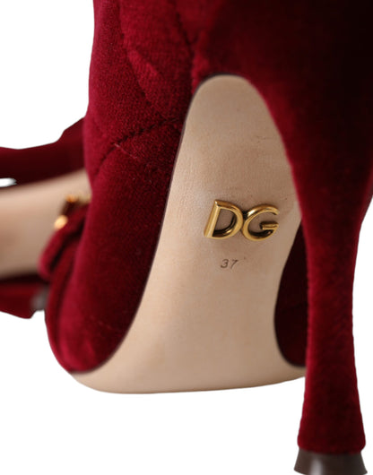 Dolce &amp; Gabbana Dunkelrote Samtstiefel mit Schnalle