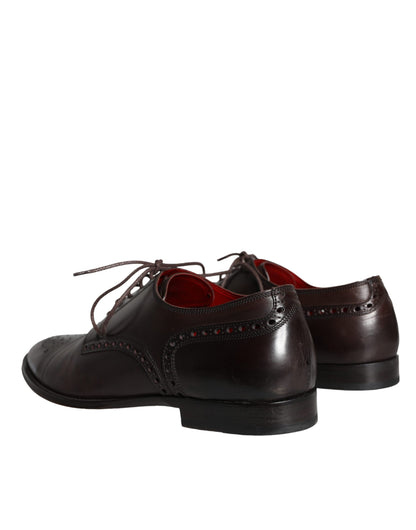 Dolce &amp; Gabbana – Oxford-Schnürschuhe aus braunem Kalbsleder