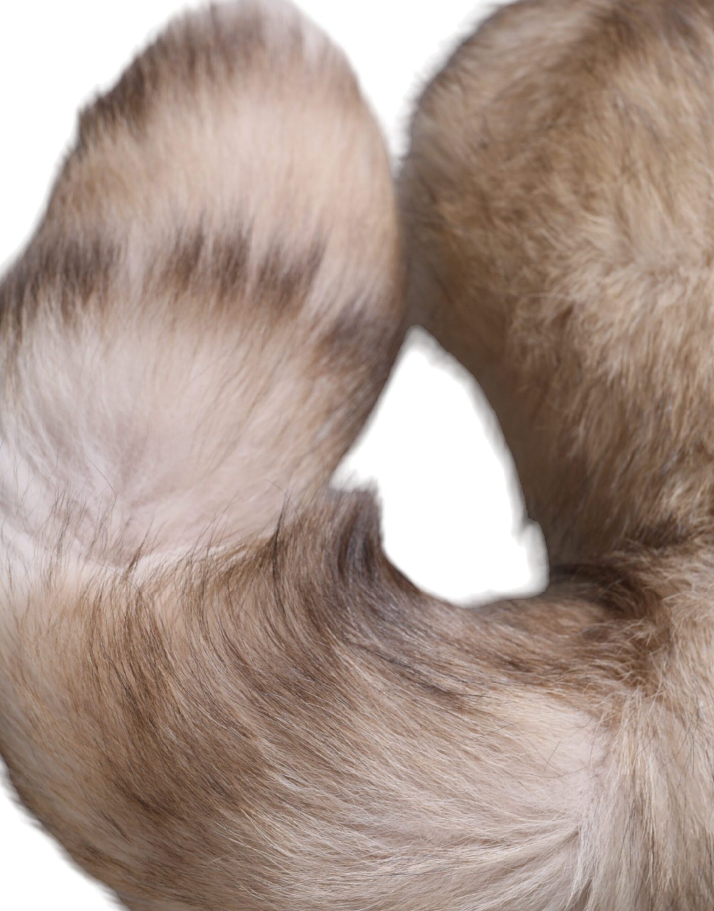 Dolce &amp; Gabbana Brauner Frost Fuchspelz-Halswärmer-Winterschal