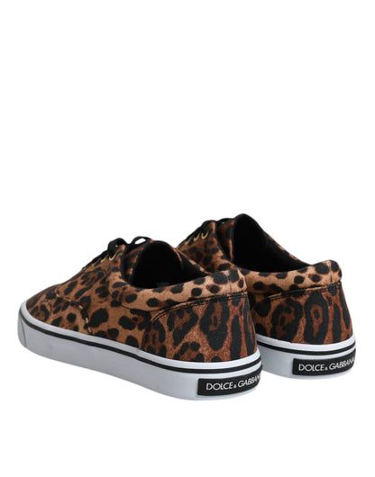 Dolce &amp; Gabbana Braune Sneakers aus Baumwolle mit Leoparden-Logo-Print