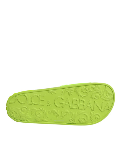Dolce &amp; Gabbana Grüne Gummi-Sandalen, Strandschuhe