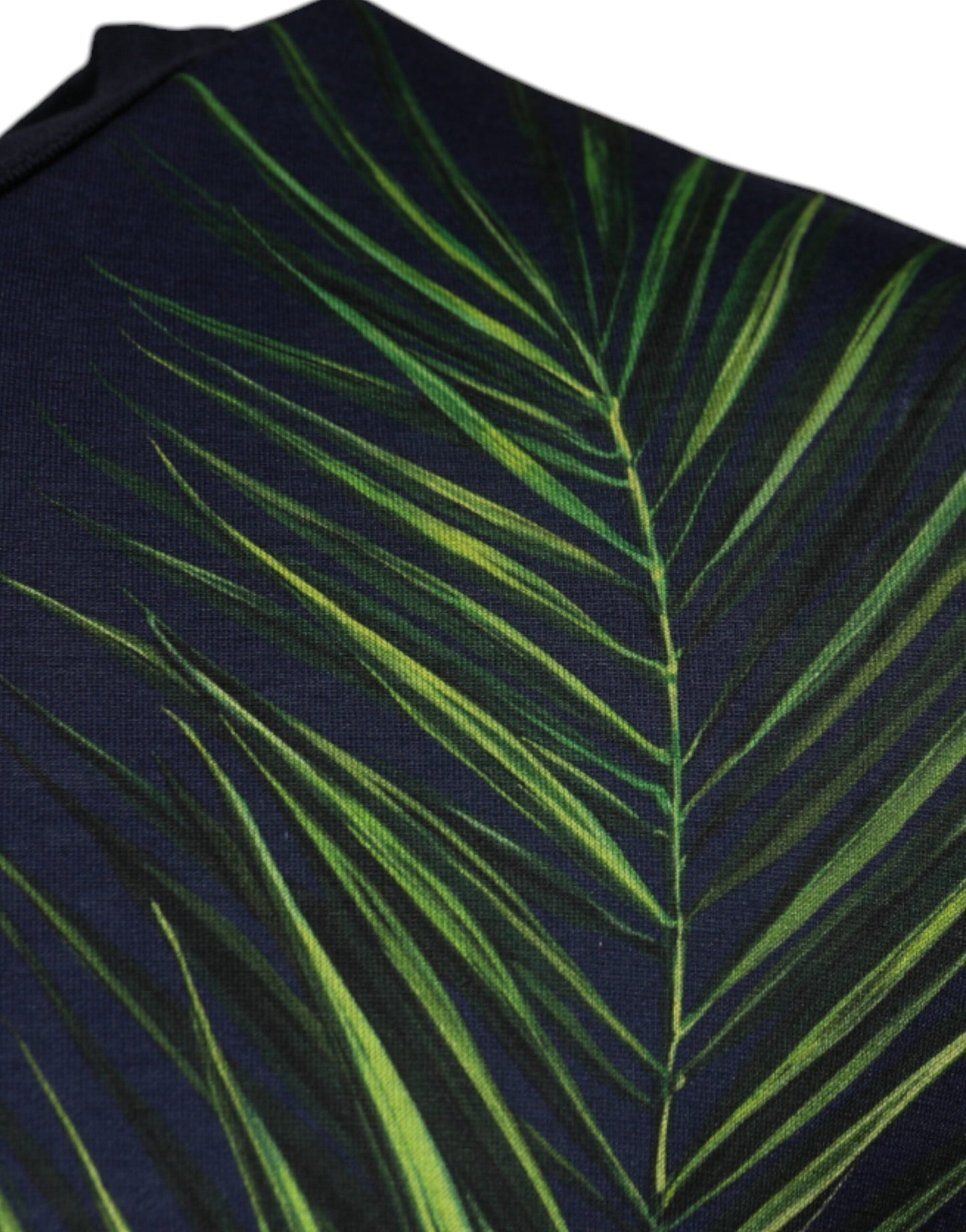 Dolce &amp; Gabbana – Kurzärmliges T-Shirt mit Rundhalsausschnitt und blauem Baumdruck