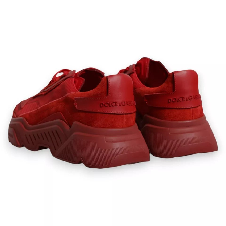 Dolce &amp; Gabbana Rote Daymaster Low Top Sneakers aus Leder