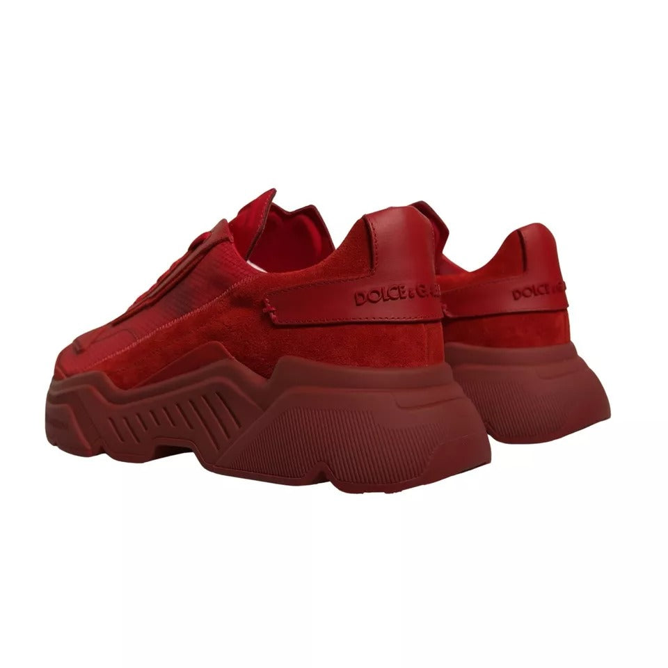Dolce &amp; Gabbana Rote Daymaster Low Top Sneakers aus Leder