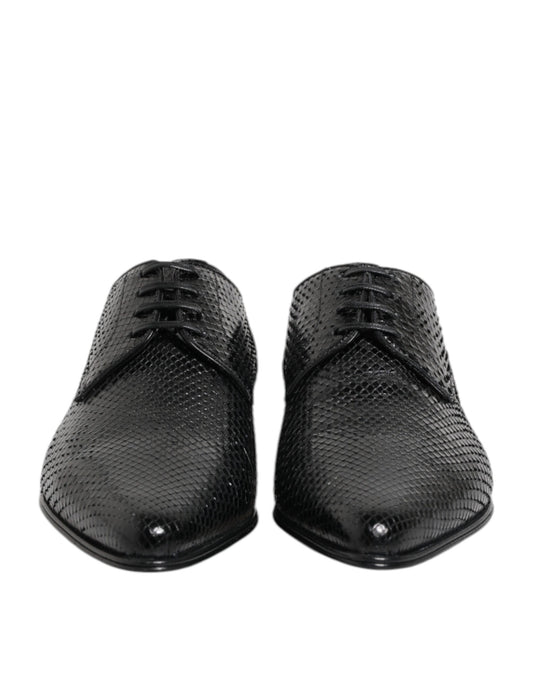 Dolce &amp; Gabbana – Derby-Schnürschuhe aus exotischem Leder in Schwarz