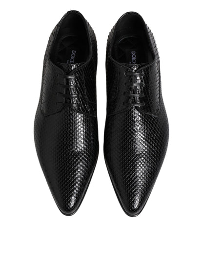 Dolce &amp; Gabbana – Derby-Schnürschuhe aus exotischem Leder in Schwarz