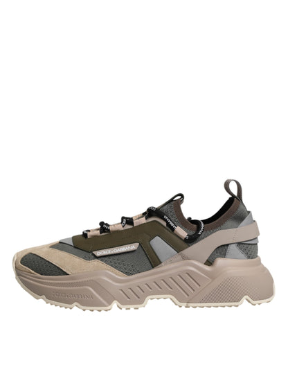 Dolce &amp; Gabbana Mehrfarbige Daymaster Low Top Sneakers Schuhe