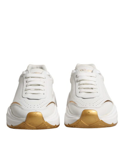 Dolce &amp; Gabbana Daymaster Low Top Sneakers in Weißgold