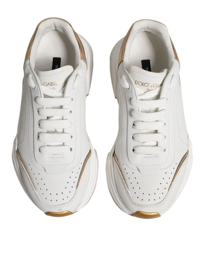 Dolce &amp; Gabbana Daymaster Low Top Sneakers in Weißgold