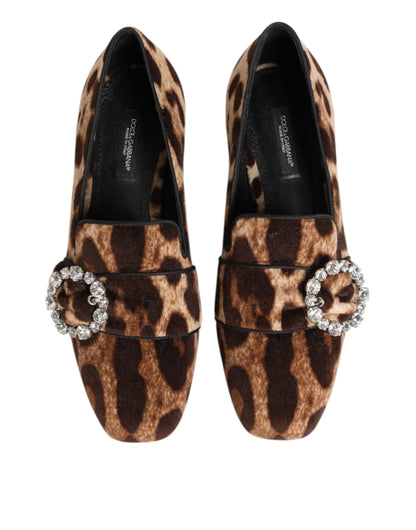Dolce &amp; Gabbana – Loafer mit Kristallen in Braun mit Leopardenmuster