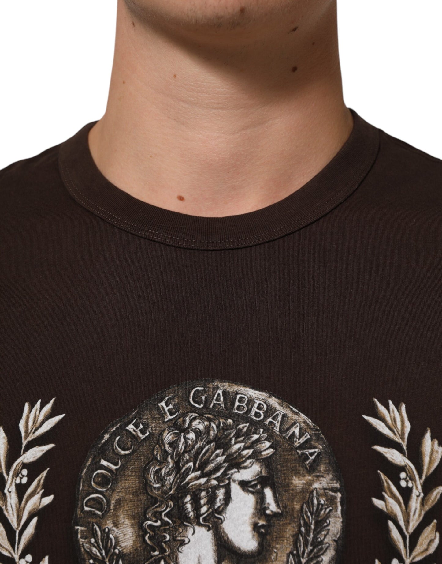 Dolce &amp; Gabbana – Braunes T-Shirt mit Rundhalsausschnitt und Lorbeer-Print für Herren